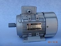 Y系列電機(jī)_浙江瑞安市興特電機(jī)制造_